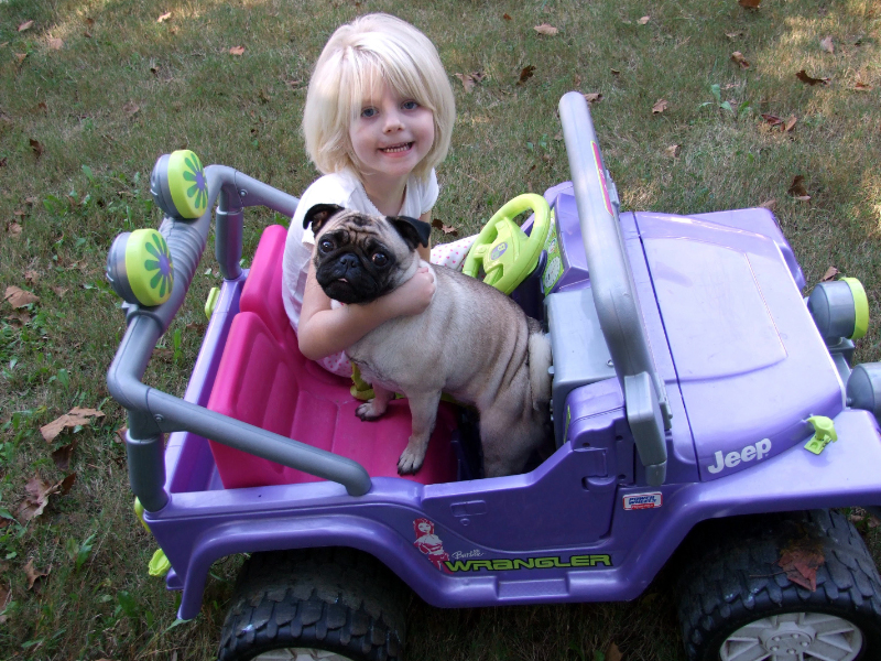 fancy_jeep.jpg